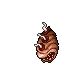 deepworm