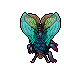 lacewing moth