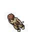 nomad